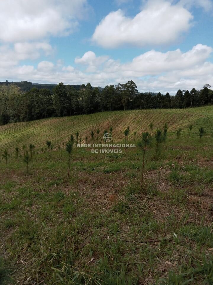 Farm Ranch in General Maynard, State of Sergipe, Brazil 1 - 16186637