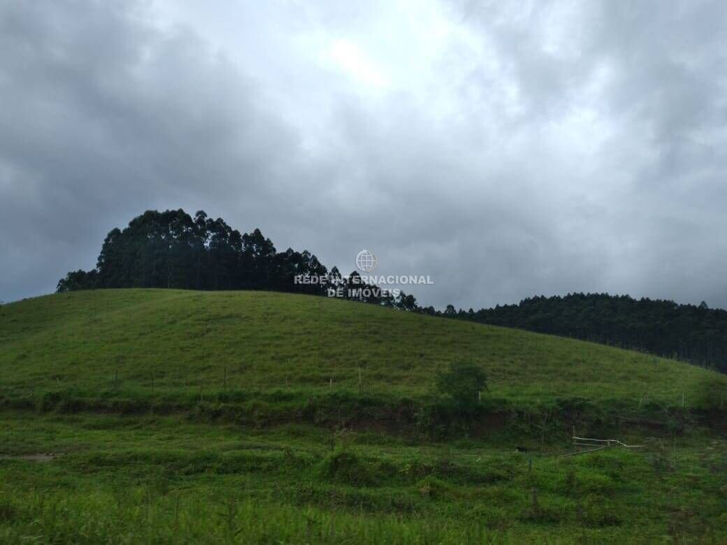 Farm Ranch in General Maynard, State of Sergipe, Brazil 5 - 16186944