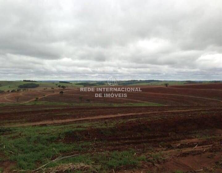 Farm Ranch in Itapetininga, State of São Paulo, Brazil 2 - 16186735