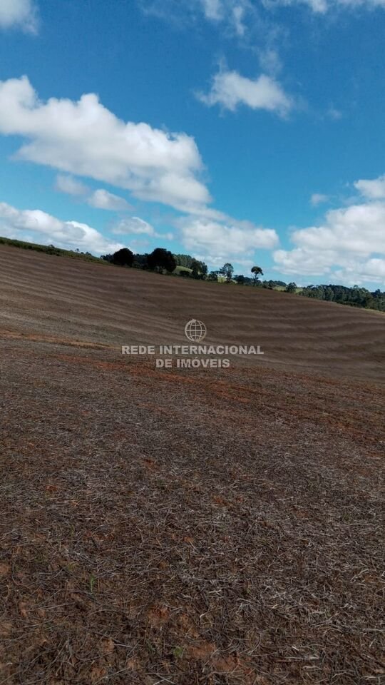Farm Ranch in General Maynard, State of Sergipe, Brazil 3 - 16186637