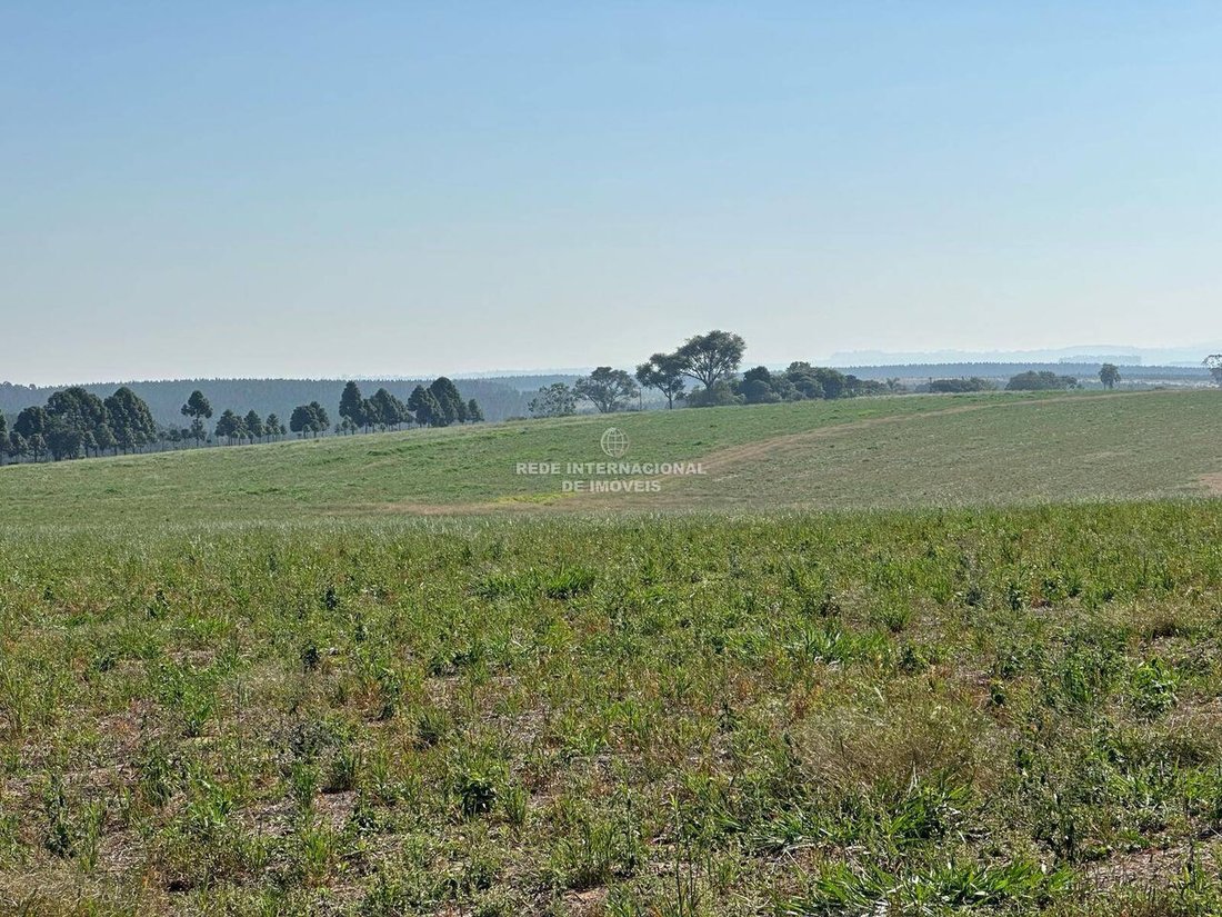 Farm Ranch in Ronco, State of Paraná, Brazil 4 - 16186674