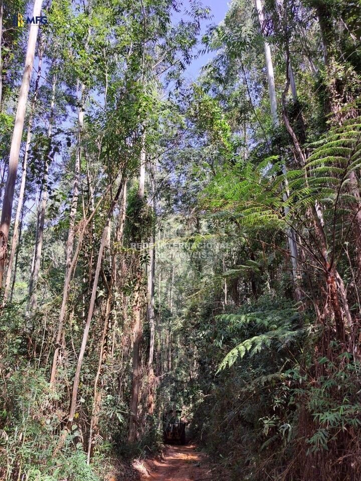 Farm Ranch in General Maynard, State of Sergipe, Brazil 2 - 16186886