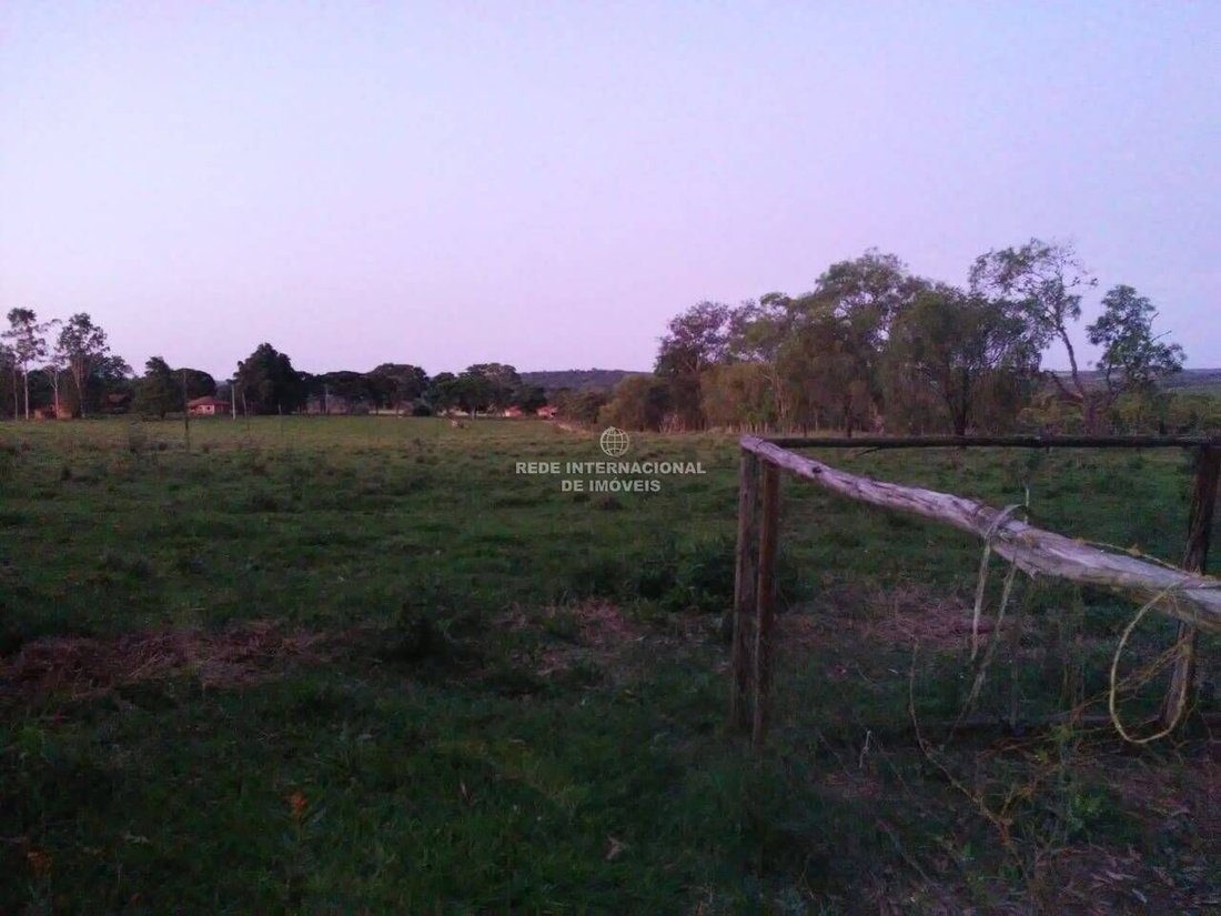 Farm Ranch in Guareí, State of São Paulo, Brazil 2 - 16186794
