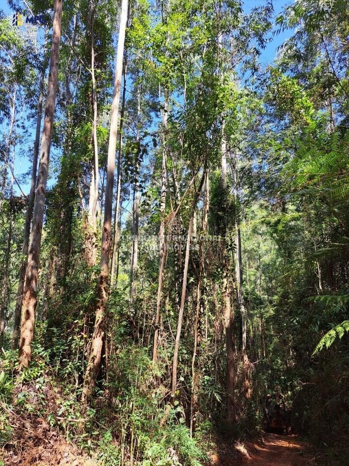 Farm Ranch in General Maynard, State of Sergipe, Brazil 1 - 16186886