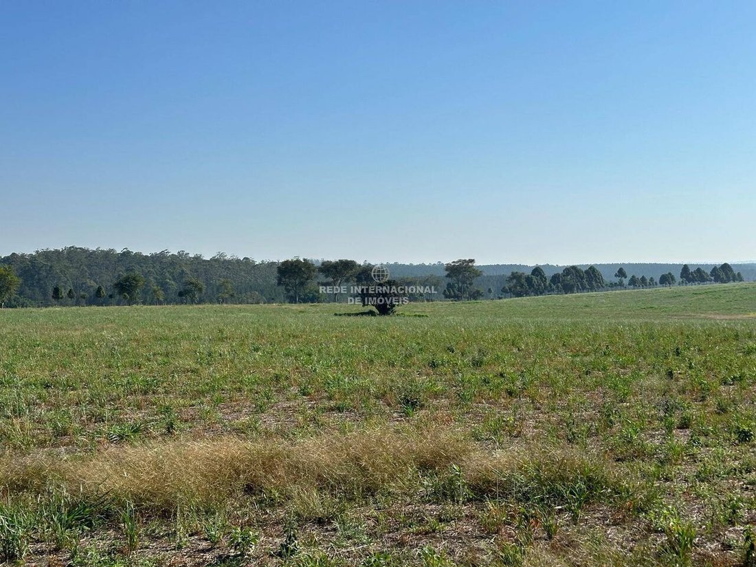 Farm Ranch in Ronco, State of Paraná, Brazil 5 - 16186674