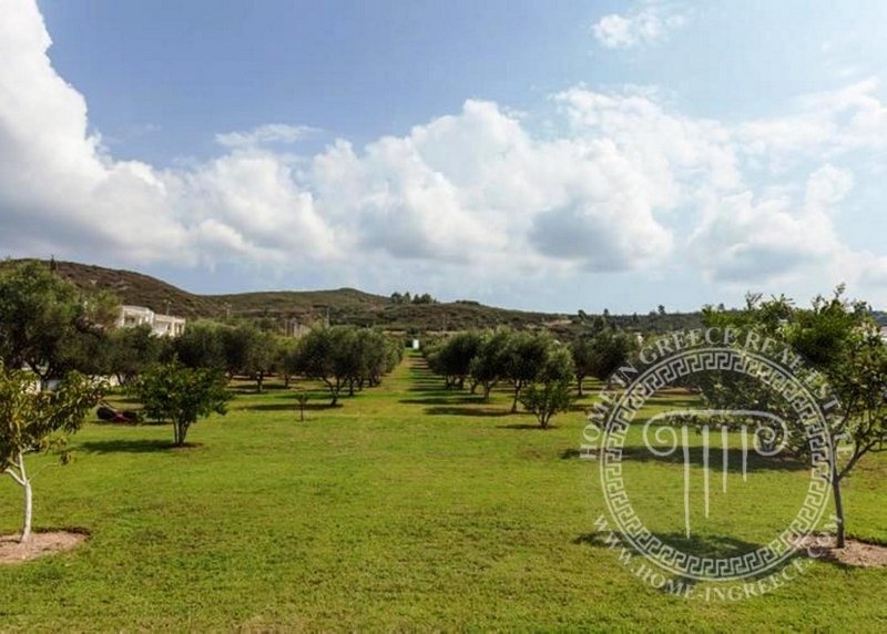 Villa in Pallini Municipal Unit, Macedonia and Thrace, Greece 3 - 16186964