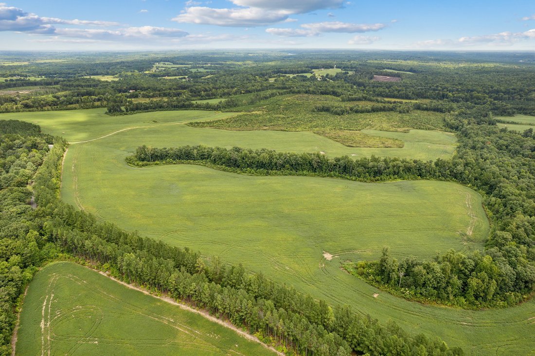 Land in Louisa, Virginia, United States 5 - 16189600