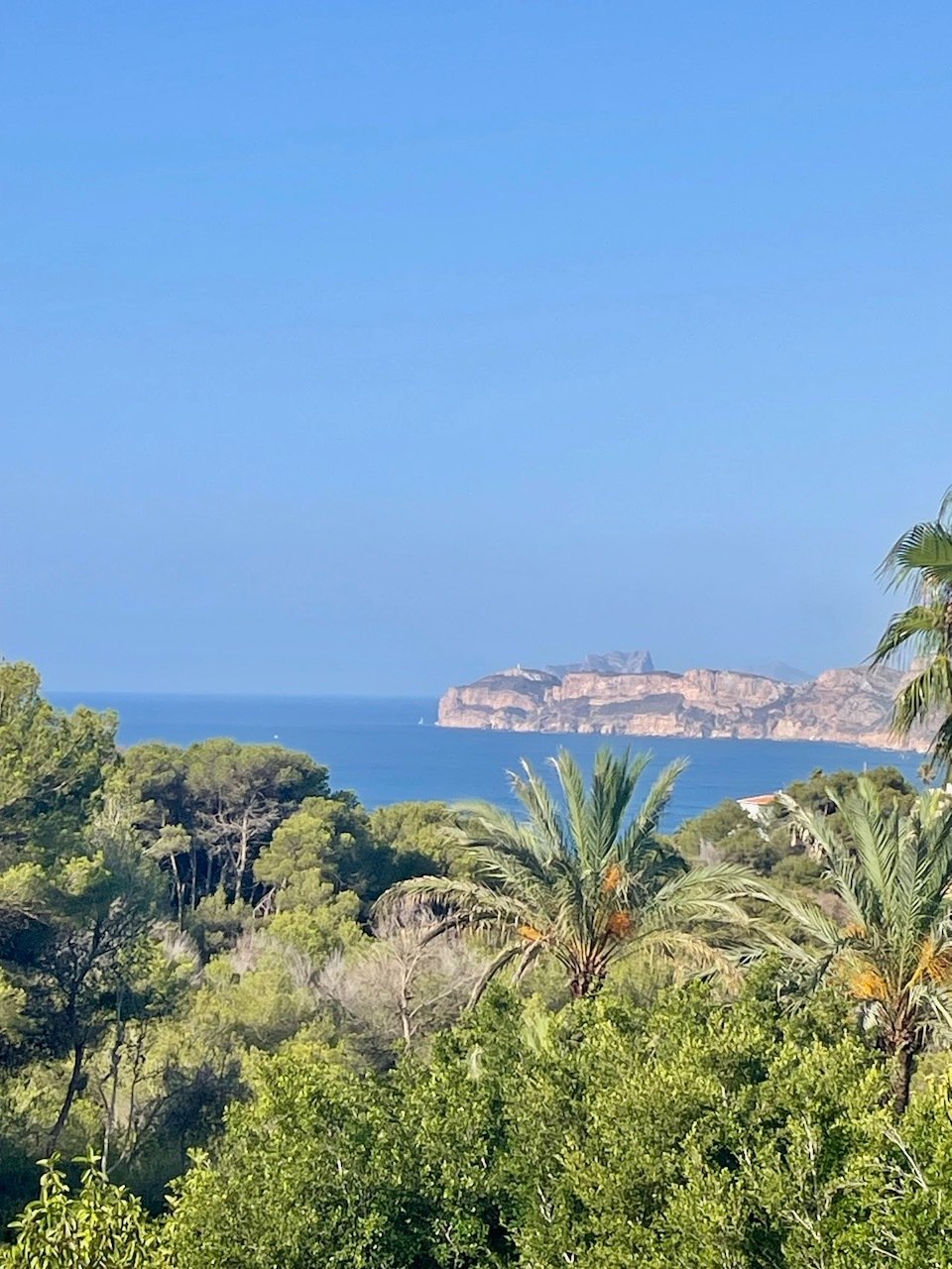 Villa in Xabia / Javea, Valencian Community, Spain 4 - 16188816