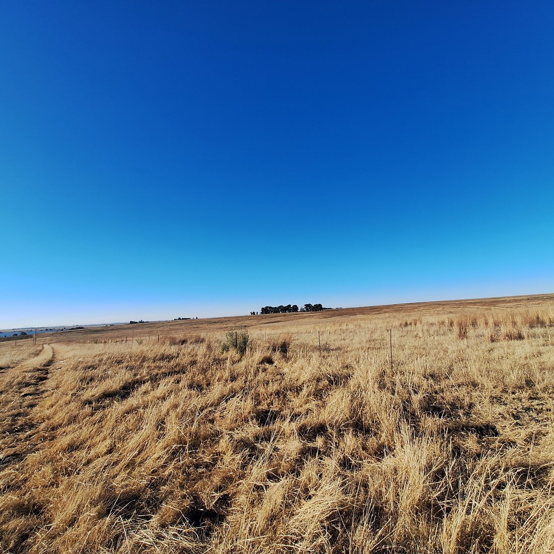 Farm Ranch in Frankfort, Free State, South Africa 5 - 16189616
