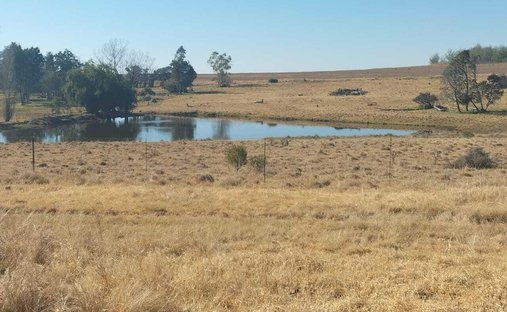 Azienda agricola a Bethlehem, Provincia del Free State, Sudafrica 1