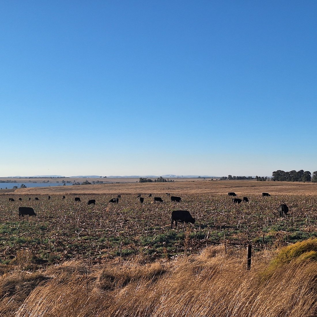 Farm Ranch in Frankfort, Free State, South Africa 1 - 16189616