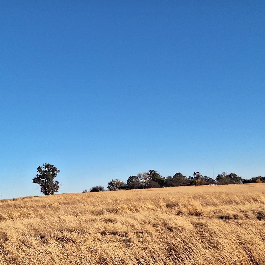 Farm Ranch in Frankfort, Free State, South Africa 4 - 16189616