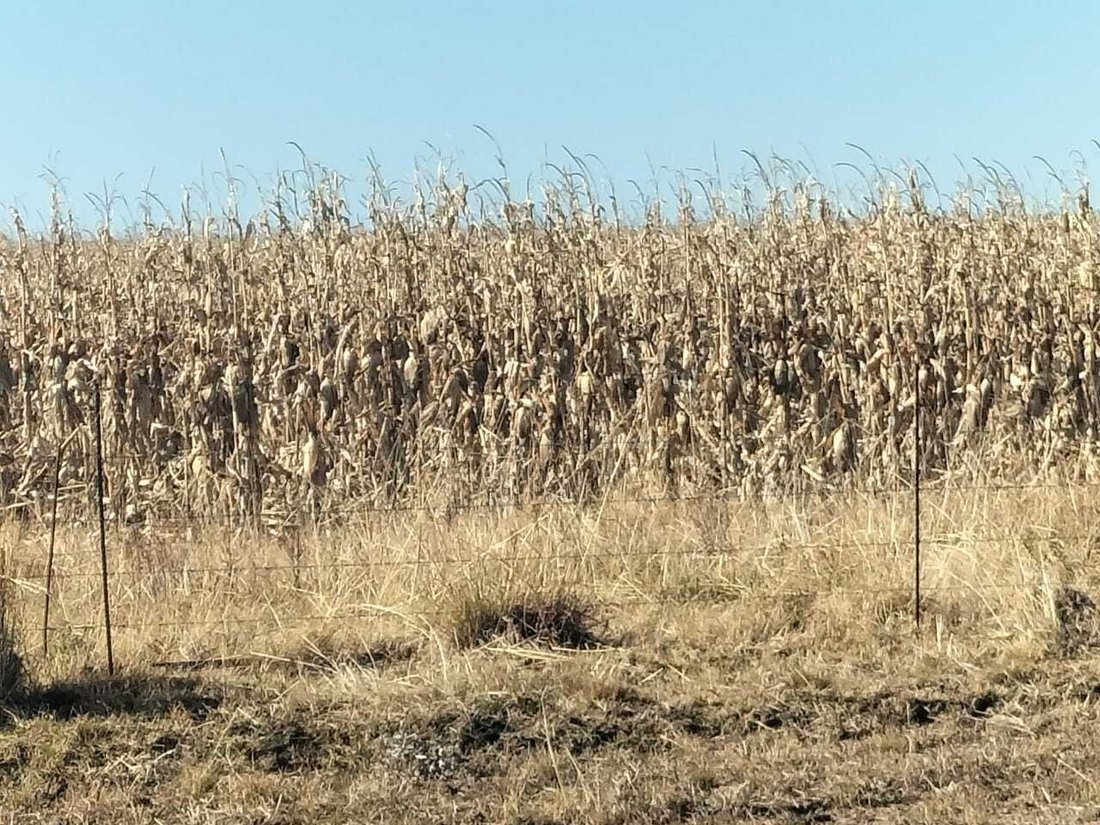 Farm Ranch in Bethlehem, Free State, South Africa 4 - 16189607