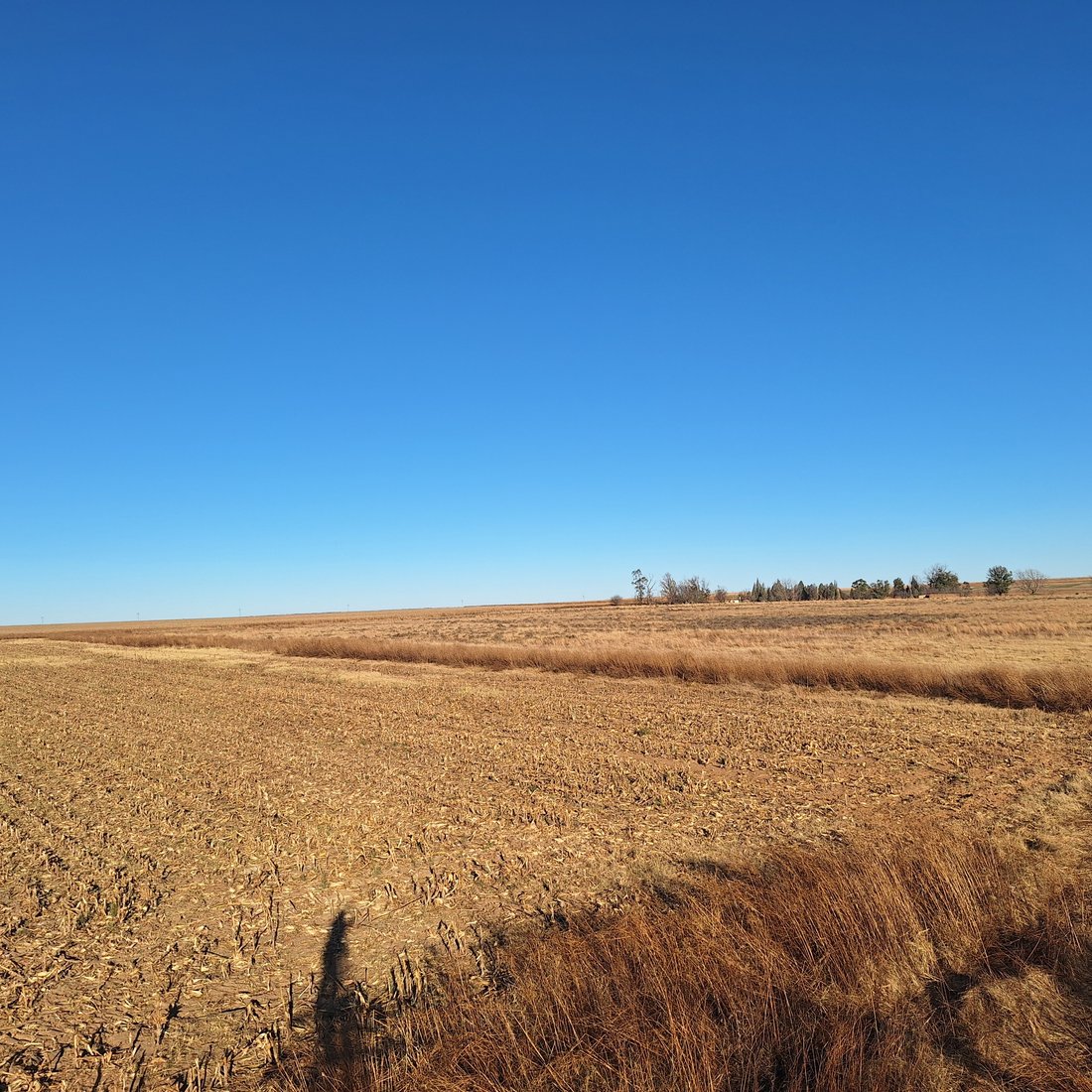 Farm Ranch in Frankfort, Free State, South Africa 2 - 16189616