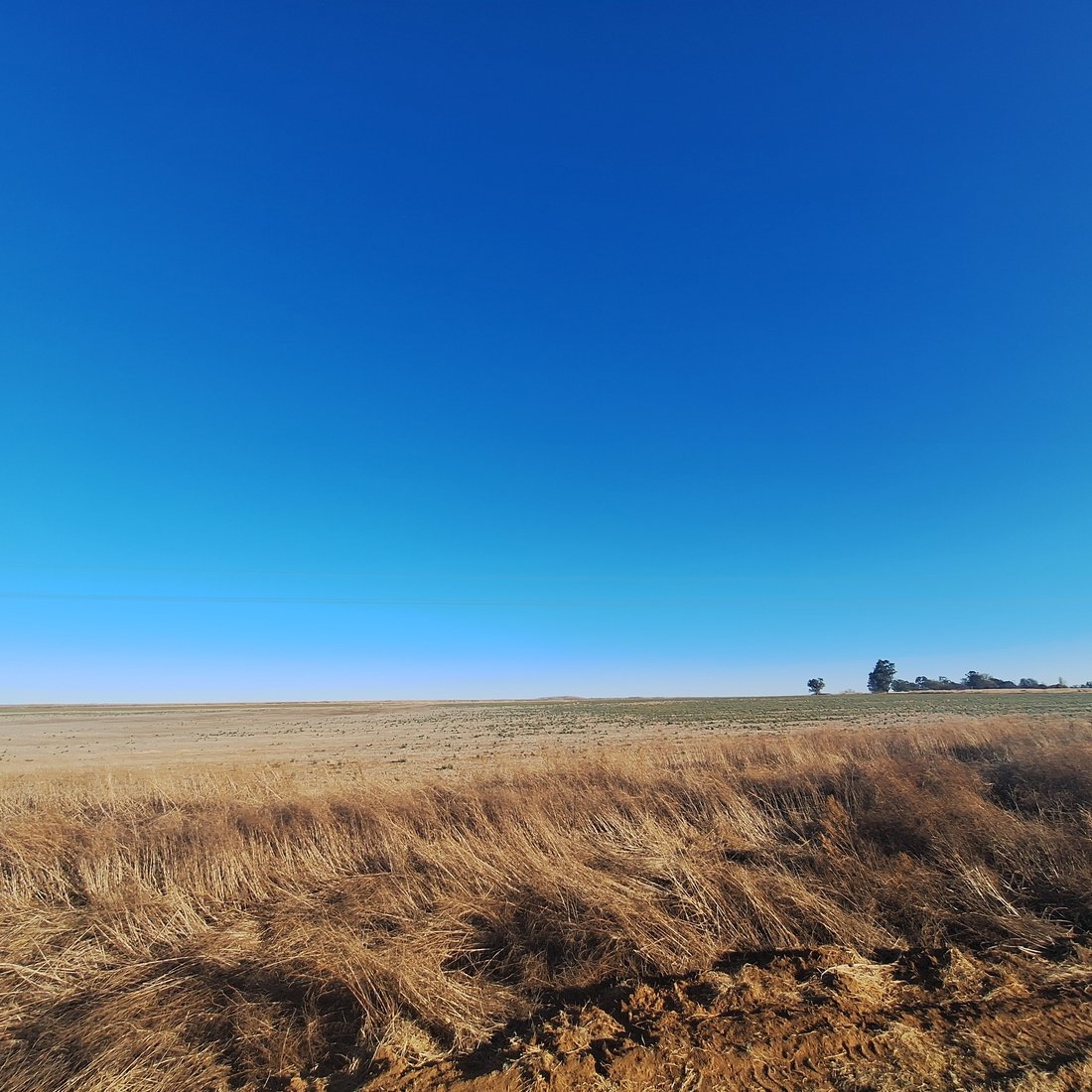 Farm Ranch in Frankfort, Free State, South Africa 3 - 16189616