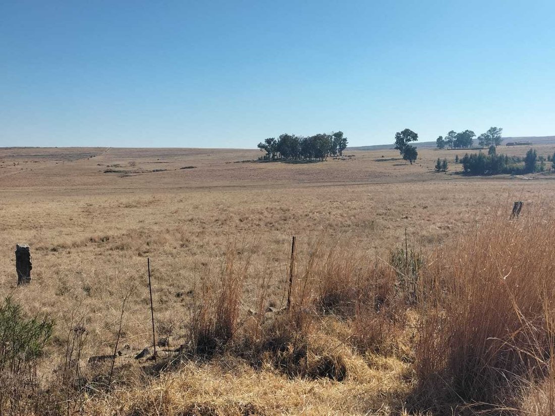 Farm Ranch in Bethlehem, Free State, South Africa 2 - 16189607