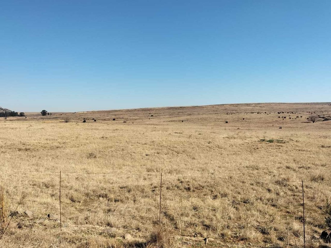 Farm Ranch in Bethlehem, Free State, South Africa 3 - 16189607