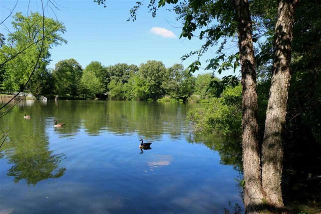 Land in Memphis, Tennessee, United States 1 - 16186991