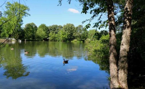 Land in Memphis, Tennessee, United States 1