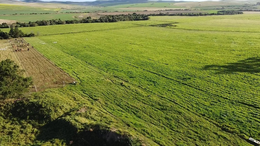 Farm Ranch in Riversdale Settlement, Western Cape, South Africa 2 - 16189605