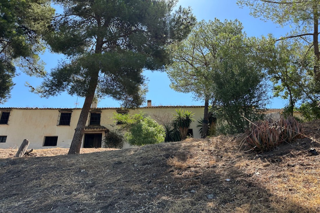 Land in Velez-Malaga, Andalusia, Spain 3 - 16189310