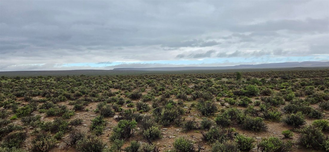 Corps de ferme à Municipalité locale de Karoo Hoogland, Cap du Nord, Afrique du Sud 2 - 16189598