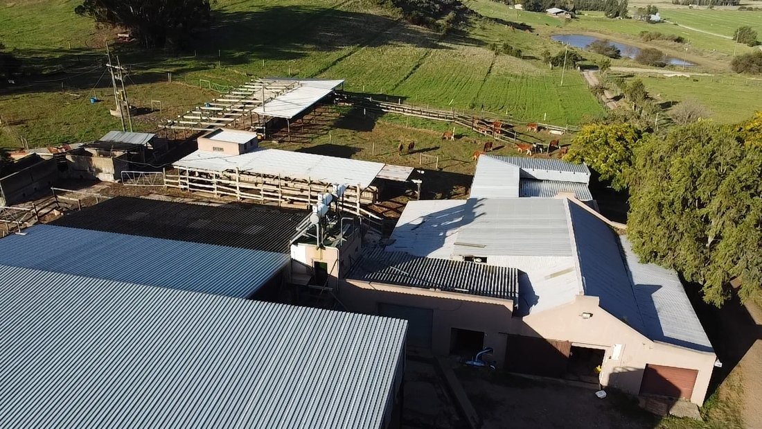 Farm Ranch in Riversdale Settlement, Western Cape, South Africa 5 - 16189605