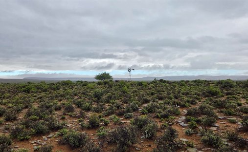 Azienda agricola a Fraserburg, Provincia del Capo Settentrionale, Sudafrica 1