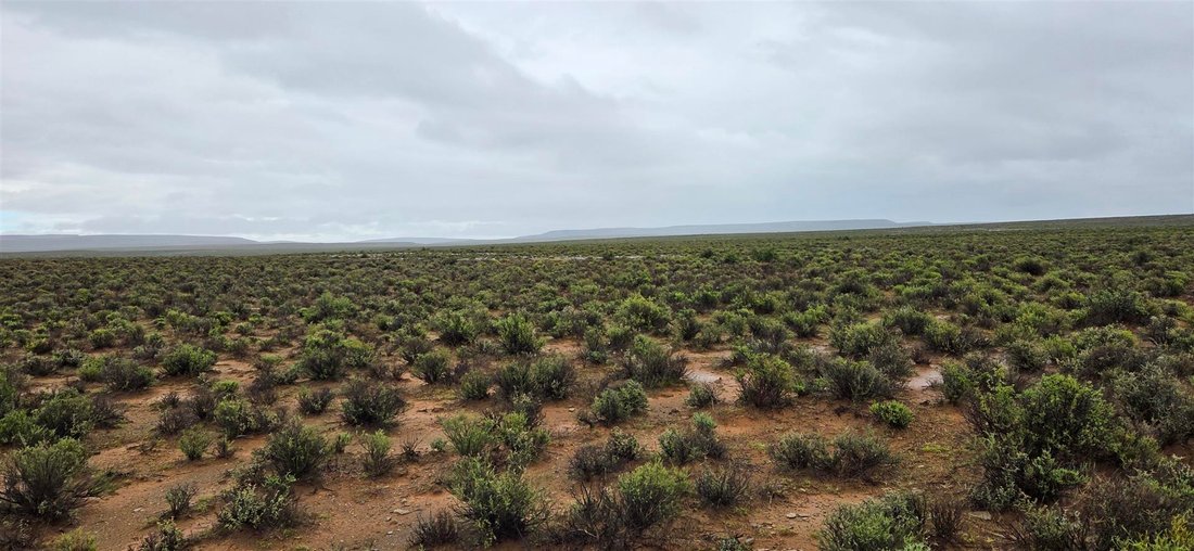 Corps de ferme à Municipalité locale de Karoo Hoogland, Cap du Nord, Afrique du Sud 3 - 16189598