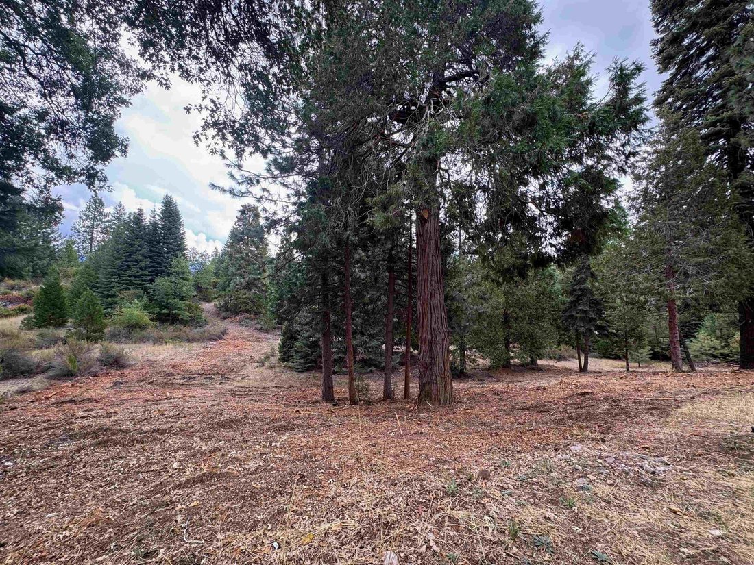 Mount Shasta, California, United States 4 - 16188546