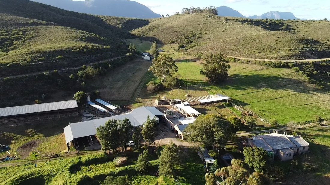Farm Ranch in Riversdale Settlement, Western Cape, South Africa 3 - 16189605