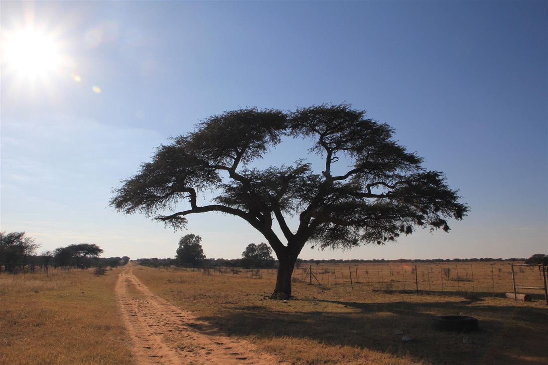 Farm Ranch in Kagisano-Molopo Local Municipality, North West, South Africa 5 - 16189611