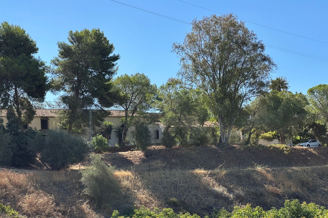 Land in Velez-Malaga, Andalusia, Spain 2 - 16189310