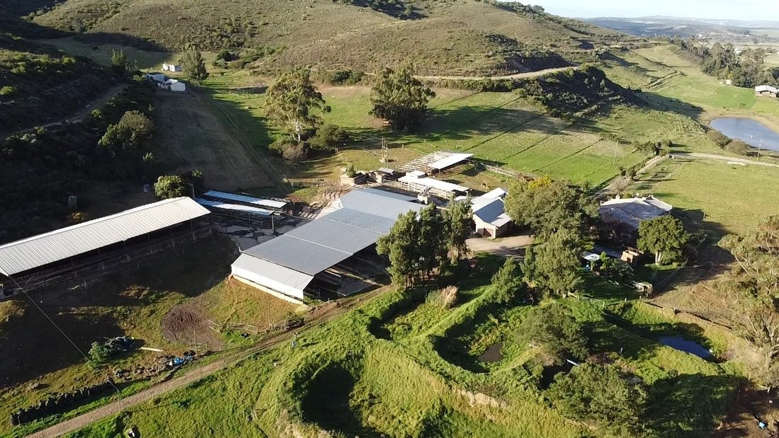 Farm Ranch in Riversdale Settlement, Western Cape, South Africa 1 - 16189605
