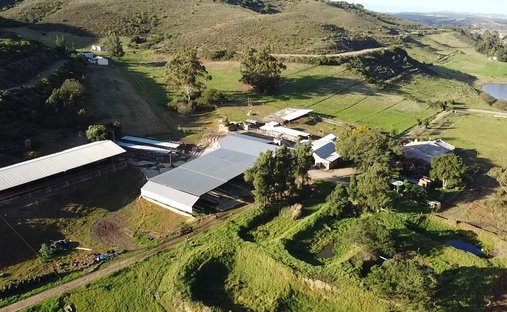 Farm Ranch in Riversdale, Western Cape, South Africa 1