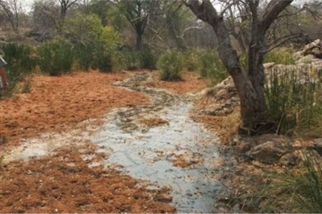 Farm Ranch in Musina, Limpopo, South Africa 1 - 16198047