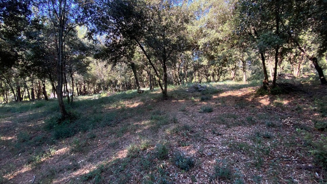 Land in Bois Fleuri-Chevre d'Or-Saint Philippe, Biot, France 1 - 16190696