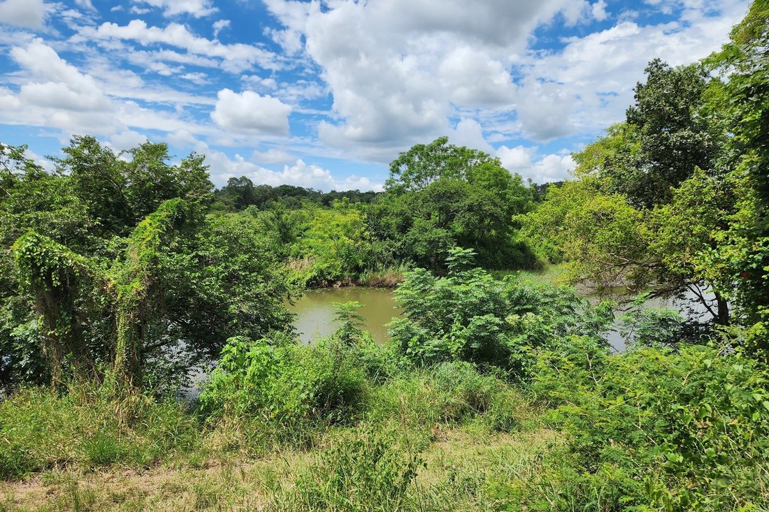 Farm Ranch in Louis Trichardt, Limpopo, South Africa 4 - 16197896
