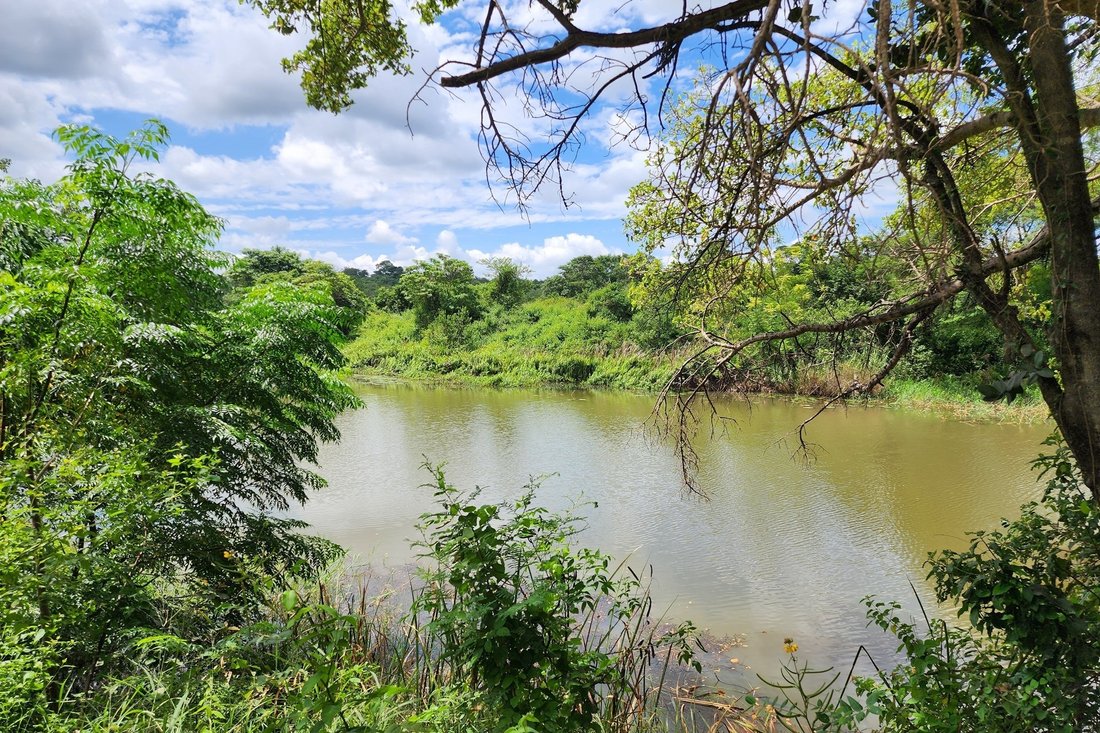 Farm Ranch in Louis Trichardt, Limpopo, South Africa 1 - 16197896