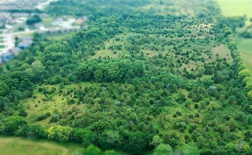 Terreno a Raymore, Missouri, Stati Uniti 1