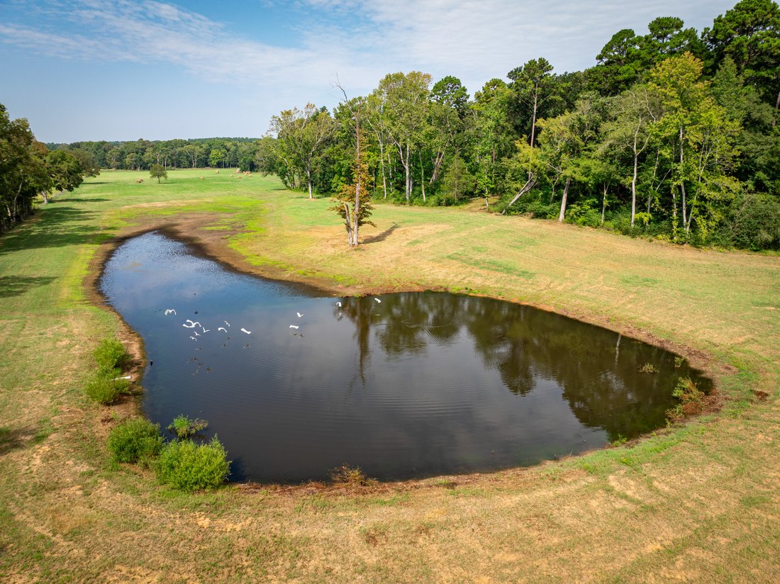 Farm Ranch in Slocum, Texas, United States 1 - 16199633