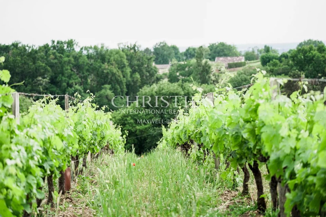 Farm Ranch in Cambes, Nouvelle-Aquitaine, France 4 - 15395162
