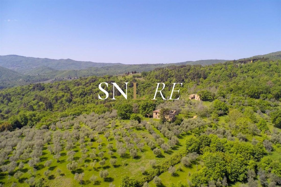 Incisa Centro - Massa, Figline e Incisa Valdarno, Tuscany 4 - 12072697