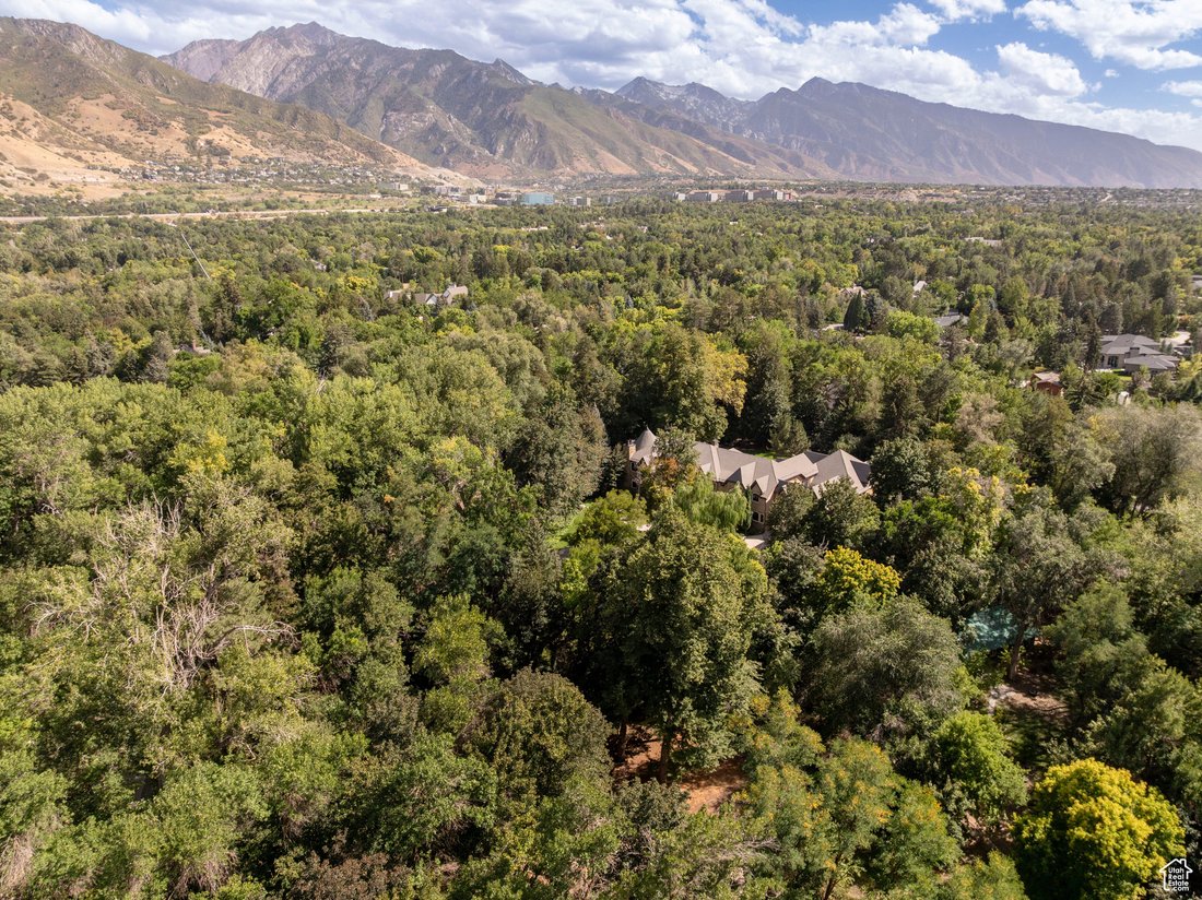 House in Holladay, Utah, United States 1 - 16197548