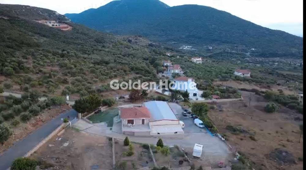 Estate in Pylos and Nestor, Peloponnese, Western Greece and the Ionian, Greece 1 - 14977716