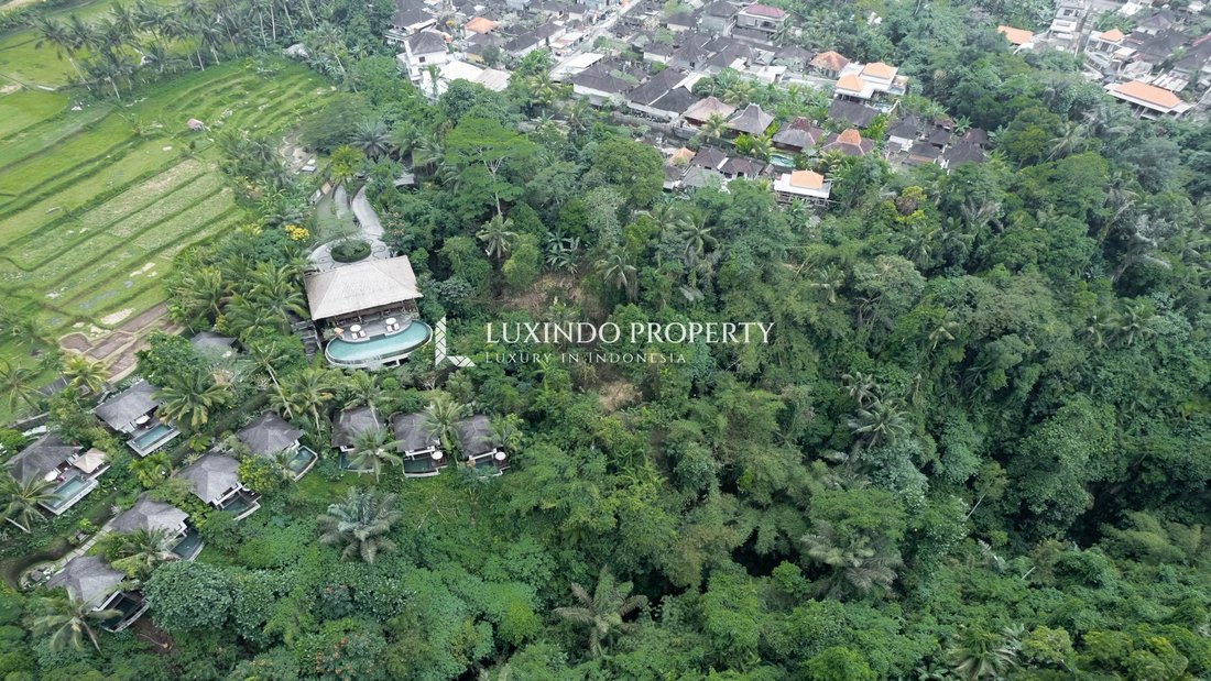 Land in Kecamatan Tegallalang, Bali, Indonesia 4 - 16191286