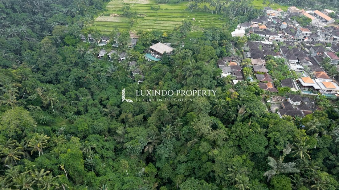 Land in Kecamatan Tegallalang, Bali, Indonesia 5 - 16191286