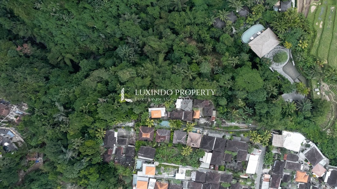 Land in Kecamatan Tegallalang, Bali, Indonesia 3 - 16191286