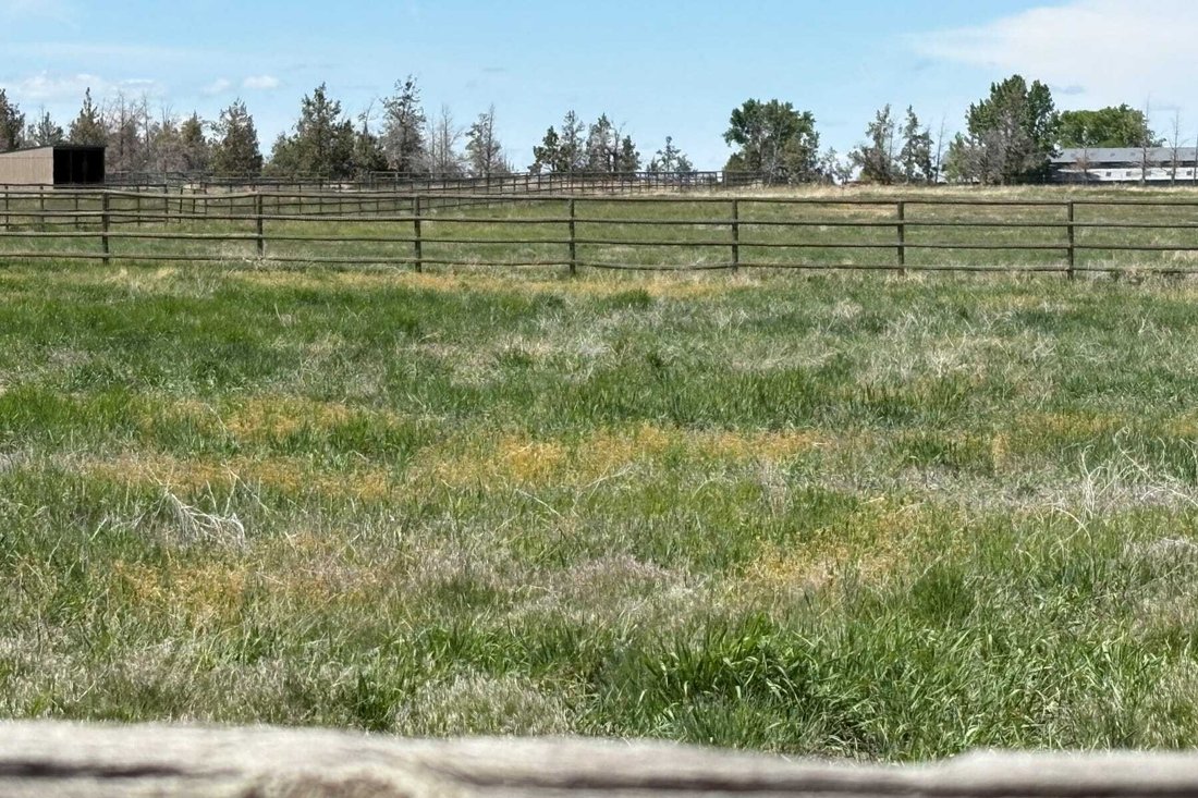 Land in Bend, Oregon, United States 5 - 16201171