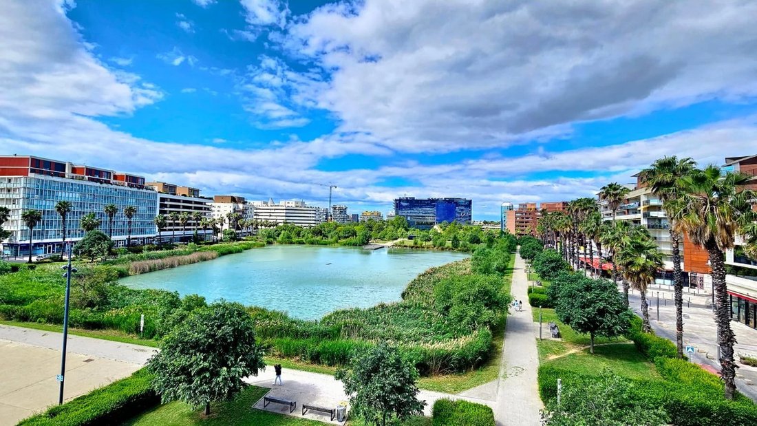 Apartment in Centre Historique, Montpellier, France 1 - 16202554